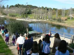 Alicante invita a descubrir sus paseos, árboles singulares y parques urbanos en los “Senderos de Otoño”
