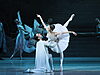 Estrellas del Ballet Mundial Danzan en Stars Gala del Principal