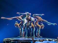 Alicante en ebullición cultural: Exposición y montaje del Cirque du Soleil